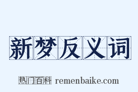 新梦反义词是什么意思的图片